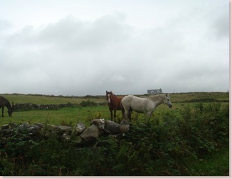 DSC01963