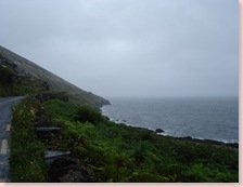 DSC06000