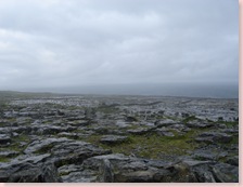 DSC06017