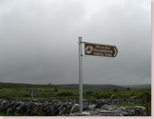 DSC06118