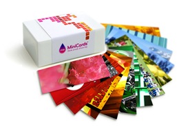 MiniCards_eventails (3)