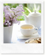 iStock_000009444298XSmall