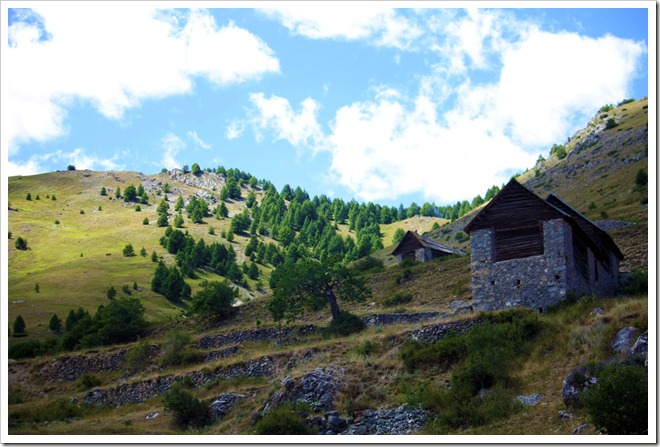 Auron