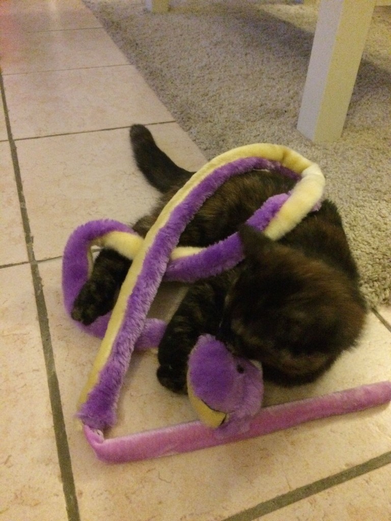 lulu