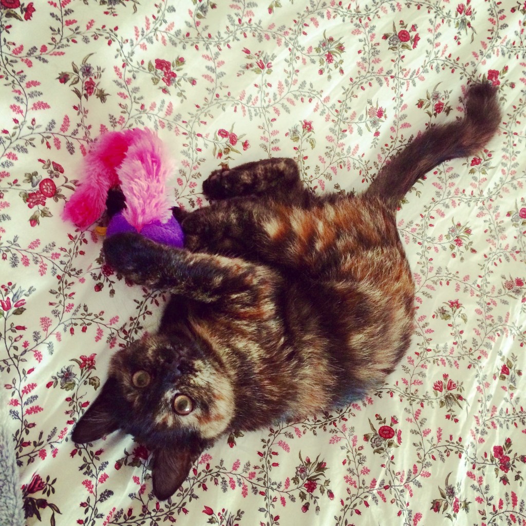 lulu2