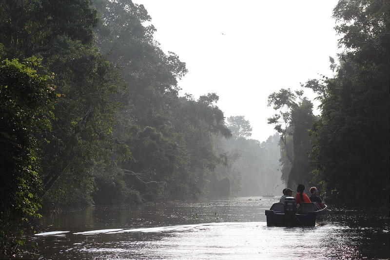 Kinabatangan